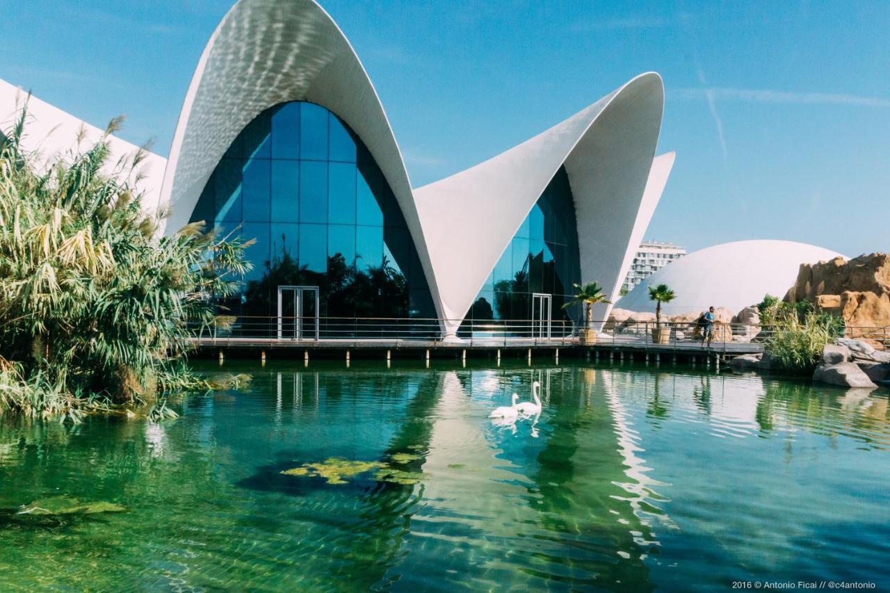 Jl Ciudad De Las Artes Apartment บาเลนเซีย ภายนอก รูปภาพ